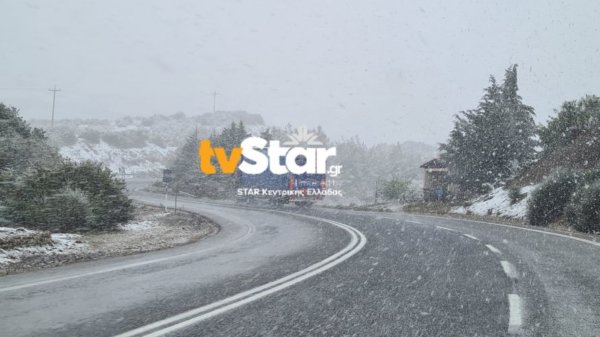 Το έστρωσε στα ορεινά της Φθιώτιδας. (φωτο video)