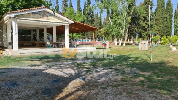 Κατασκηνώσεις e-ΕΦΚΑ: Από σήμερα μέχρι 7 Ιουνίου η αποστολή των voucher – Πόσα παιδιά επωφελούνται