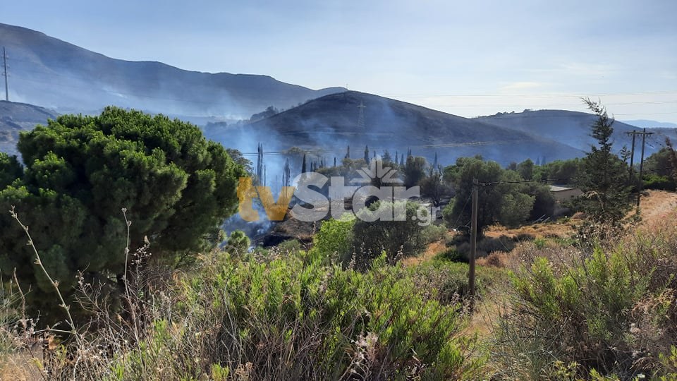 Χιλιάδες στρέμματα έγιναν στάχτη στα Στύρα Ευβοίας. Συνελήφθη ως ύποπτος κάτοικος από την ...