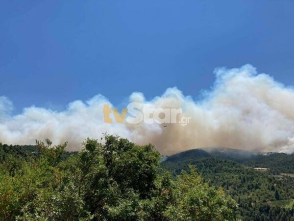 Νέα φωτιά στην Βόρεια Εύβοια, στην περιοχή Μονοκαρυά, μεγάλη κινητοποίηση της Πυροσβεστικής