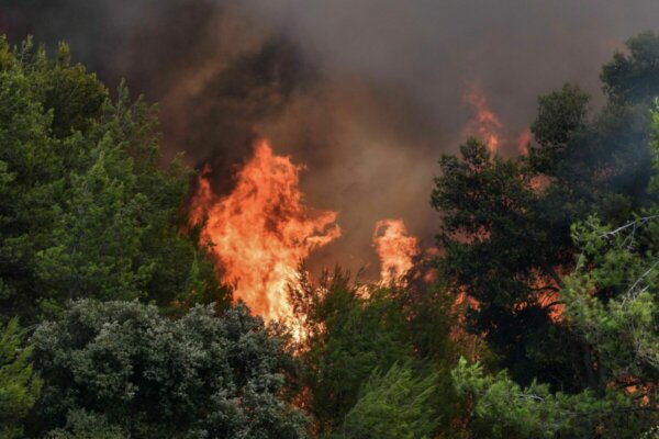 Απαγορεύεται την Πέμπτη η είσοδος σε εθνικούς δρυμούς και δάση στις περιοχές όπου προβλέπεται πολύ υψηλός κίνδυνος πυρκαγιάς