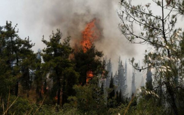Ρέθυμνο: Σε ύφεση η πυρκαγιά – Κλιμάκια της περιφέρειας από αύριο στις πληγείσες περιοχές
