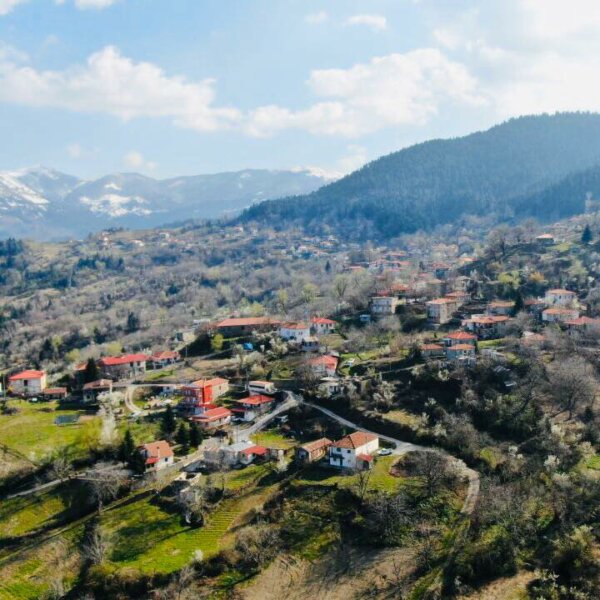 8ο Θερινό Σχολείο Τζουμέρκων & Ν.Α. Πίνδου , “Τα αυλάκια της ζωής. Περιβάλλον, Τεχνολογία και Κοινωνία”.