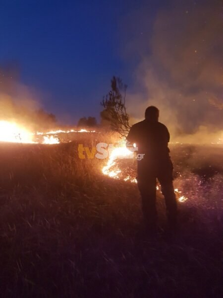 Νέα φωτιά στο Αυλάκι Στυλίδας. Εμπρησμό φοβούνται οι κάτοικοι και λαμβάνουν μέτρα.