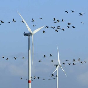 ΤΑ ΣΗΜΑΝΤΙΚΟΤΕΡΑ ΝΕΑ