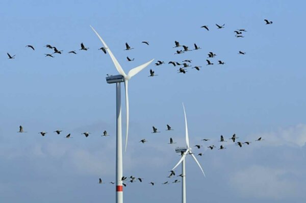 Το 45% των ΑΠΕ της χώρας στην Στερεά και έρχονται και άλλα… Γιατί τα ΟΧΙ γίνονται ΝΑΙ (video)