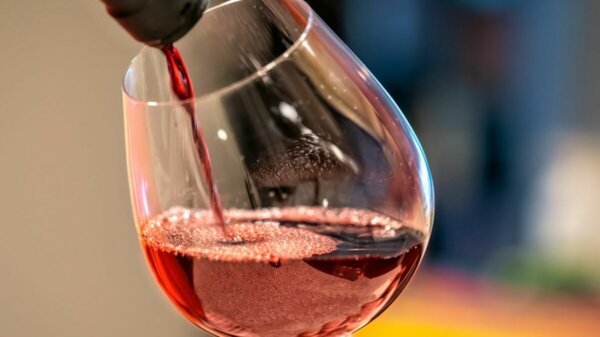 Το Επιμελητήριο Εύβοιας στη Διεθνή Έκθεση Wine Paris & Vinexpo Paris 2026 (ΦΩΤΟ)