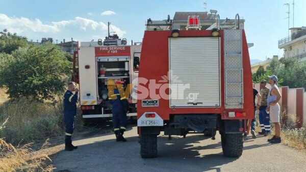 Δήμος Λαμιέων: Μητρώο ευάλωτων πολιτών για την προληπτική απομάκρυνσή τους σε περίπτωση πυρκαγιών