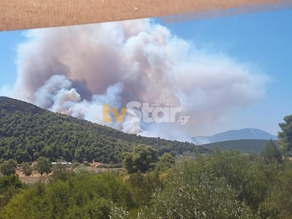 Καίγεται πευκόδασος της Εύβοιας – Ανάμεσα σε οικισμούς η φωτιά