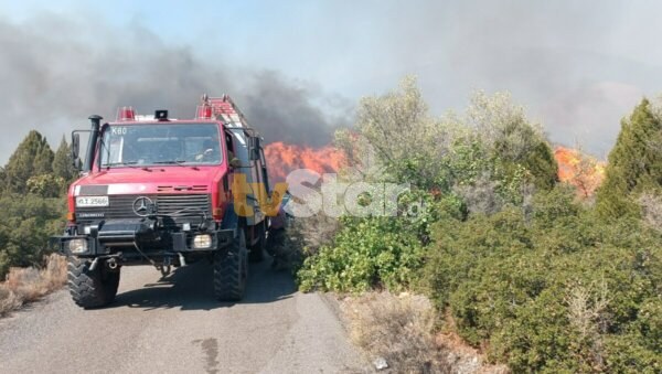 Ευρυτανία: Πρόστιμο 1.250 ευρώ για φωτιά στο Καρπενήσι