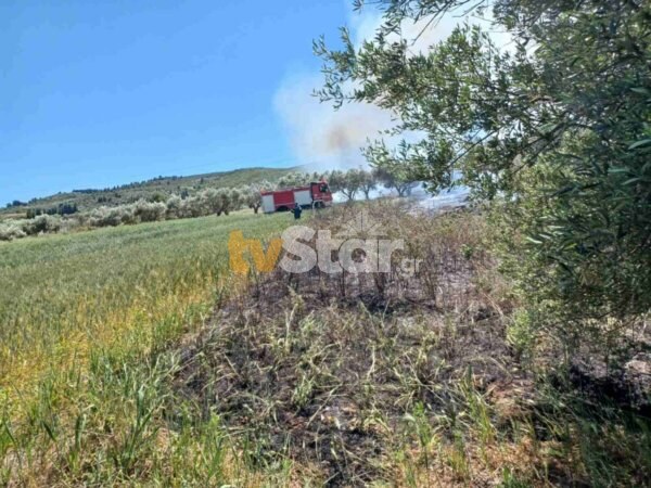 Αλίαρτος: Φωτιά ξέσπασε το μεσημέρι της Κυριακής σε αγροτοδασική έκταση (φωτό)