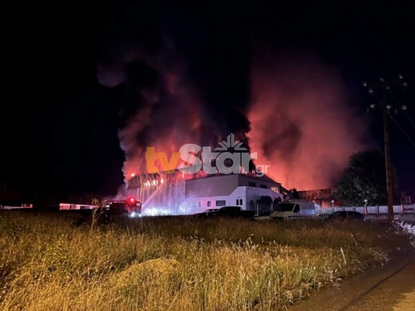 Έκτακτο: Φωτιά στο εργοστάσιο Γιαννίτσης στη ΒΙΠΕ Λαμίας. (φωτο video)