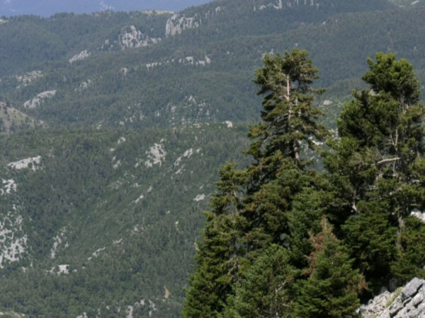 Σήμα Κινδύνου στέλνουν περιβαλλοντικοί σύλλογοι από την Εύβοια