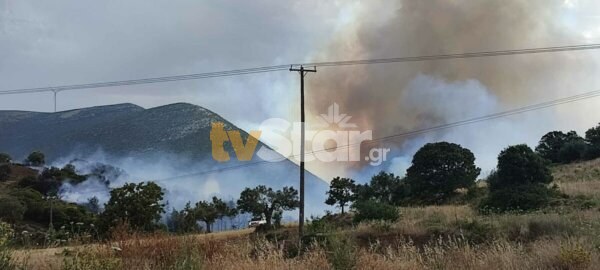 Εύβοια: Φωτιά στην περιοχή του Αλμυροποτάμου -112 για τους κατοίκους