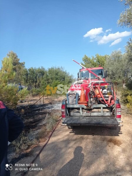 Αμέσως την έπιασαν την φωτιά στους Αγίους Ασωμάτους Ερέτριας