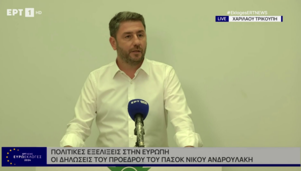 Ο Νίκος Ανδρουλάκης για το αποτέλεσμα των Ευρωεκλογών. (video)