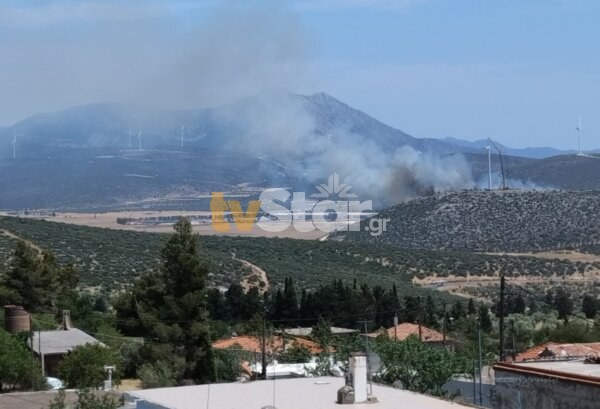 Φωτιά στη Θίσβη (photo)