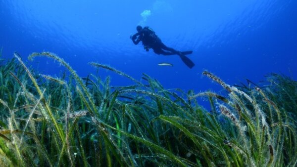 Πάτρα: Σε εξέλιξη οι έρευνες στην για τον εντοπισμό 27χρονου που είχε πάει για υποβρύχιο ψάρεμα