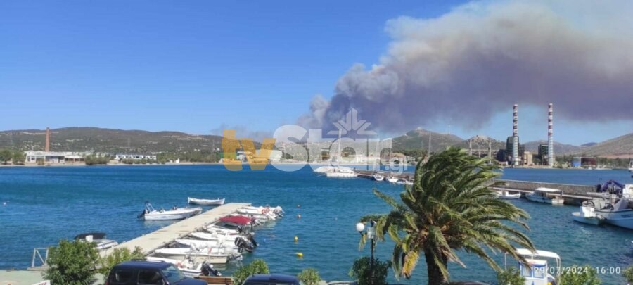 https://tvstar.gr/wp-content/uploads/2024/07/202407291616044915-900x405.jpg?v=1722258978