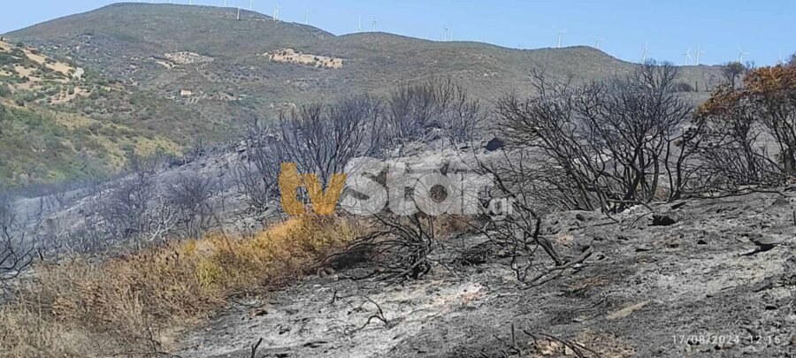 Από την φωτιά στη Νότια Εύβοια