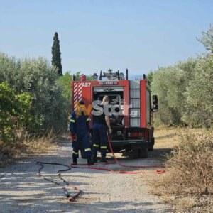 ΤΑ ΣΗΜΑΝΤΙΚΟΤΕΡΑ ΝΕΑ