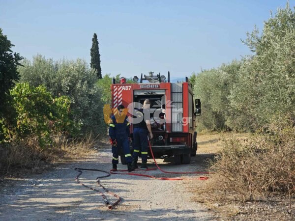 Πυροσβεστική: “Τσουχτερό” πρόστιμο για φωτιά στην Εύβοια