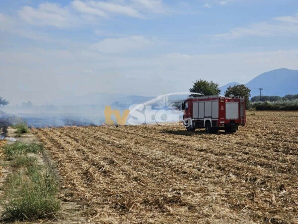 Φωτιά σε χωράφι με καλαμιές στη Λαμία. (φωτο – video)