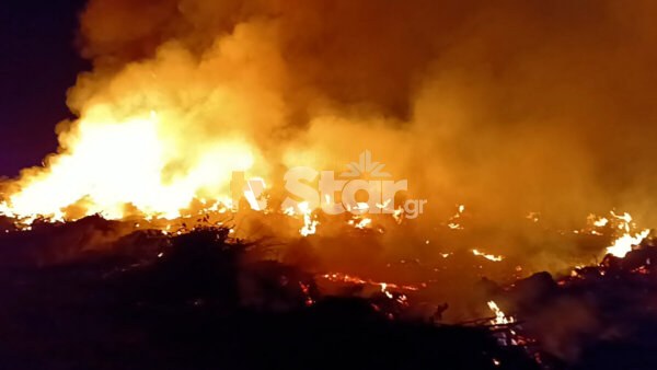 Φωτιά σε παράνομη χωματερή στον Άγιο Σπυρίδωνα Ορχομενού. (video)