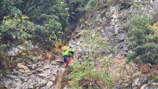 Νεκρή γυναίκα εντοπίστηκε σε χαράδρα στους Δελφούς