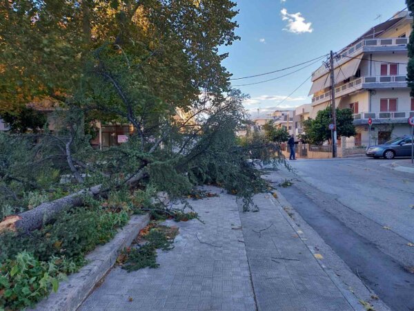 Έπεσε δέντρο στα Γαλανέικα