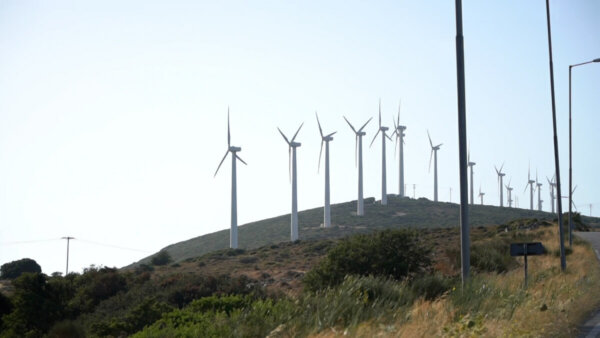 Οι μελισσοκόμοι στη Νότια Εύβοια χάνουν την παραγωγή τους- Τι συζητήθηκε στην γενική συνέλευση της Ομοσπονδίας Εμπορικών Συλλόγων