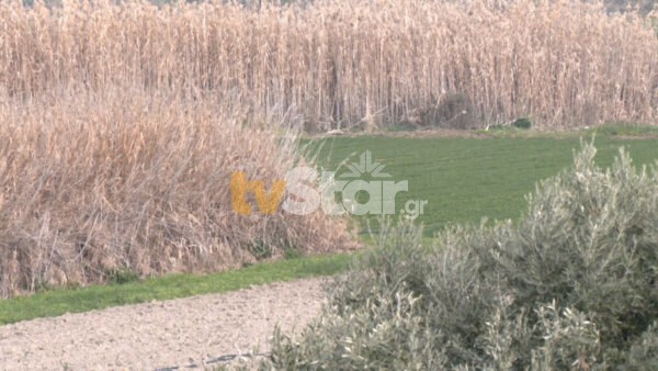 Καταπατήσεις χωρίς τέλος στον Υγροβιότοπο του Κολοβρέχτη της Κεντρικής Εύβοιας