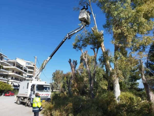 Εργασίες του Δήμου Χαλκιδέων στη Δ.Ε Χαλκιδέων (φωτο)