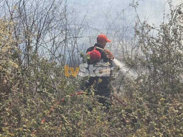 Στην αρμοδιότητα του Πυροσβεστικού Σώματος οι έλεγχοι κατόπιν καταγγελιών για ακαθάριστα οικόπεδα