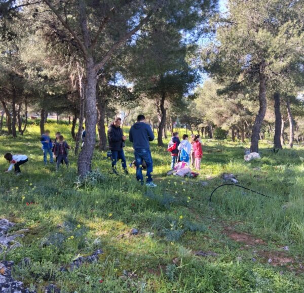 «Πρασινίζουμε τον τόπο μας» // Περιβαλλοντικές δράσεις από τον Δήμο Χαλκιδέων