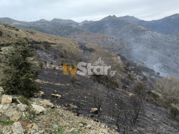 Τρόμαξε αρχές και κατοίκους η φωτιά στην Κάρυστο – Ισχυρές δυνάμεις στο σημείο