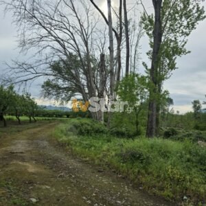 ΤΑ ΣΗΜΑΝΤΙΚΟΤΕΡΑ ΝΕΑ