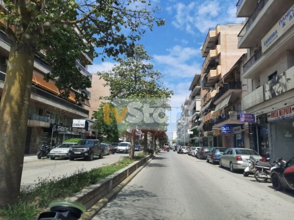 Τι απαντά ο Δήμος Χαλκιδέων για τα δέντρα της Λεωφόρου Ελ. Βενιζέλου και των οδών 28ης Οκτωβρίου και Αρεθούσης