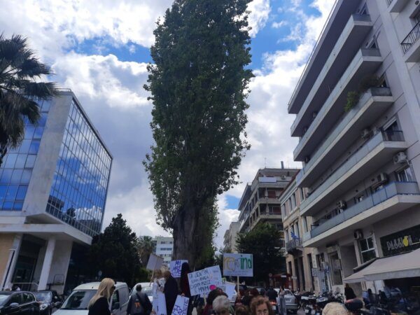 Πολίτες ζητούν να σταματήσει η κοπή των δέντρων στην Ελ. Βενιζέλου