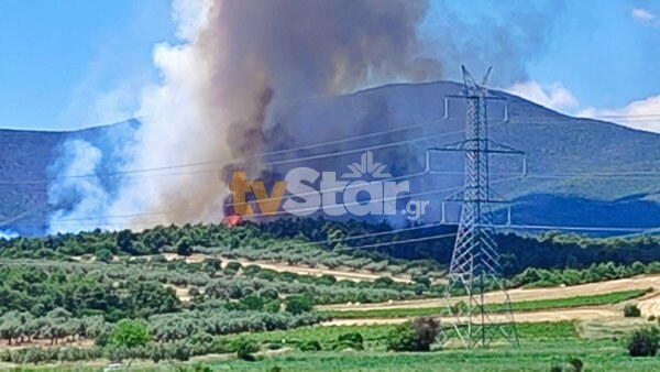 Φωτιά στη Ριτσώνα: Συνελήφθη ένας άνδρας – Μεγάλη κινητοποίηση της πυροσβεστικής