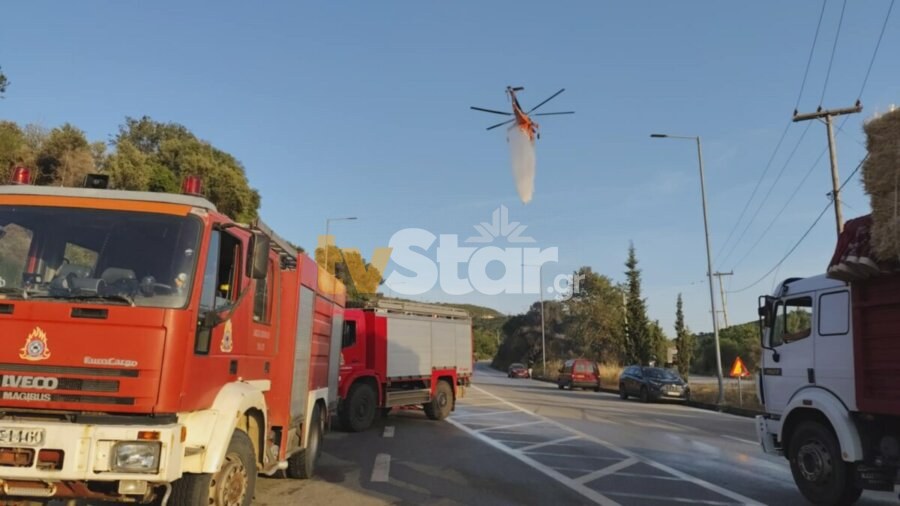 εικόνα αρχείου