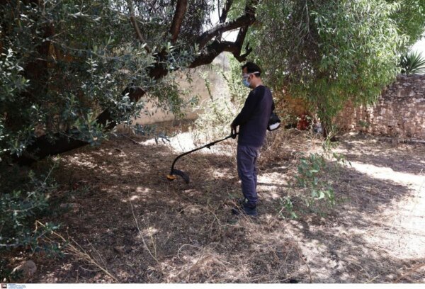 Καθαρισμοί οικοπέδων: Έχουν γίνει 400.000 δηλώσεις – Δεν εξετάζουμε παράταση, διαμηνύει η κυβέρνηση