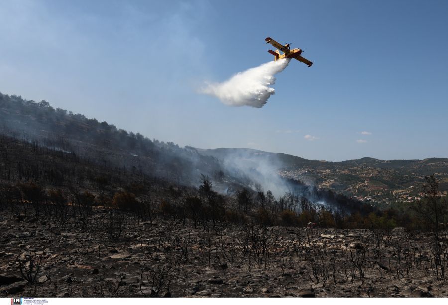ΦΩΤΟ ΑΡΧΕΙΟΥ