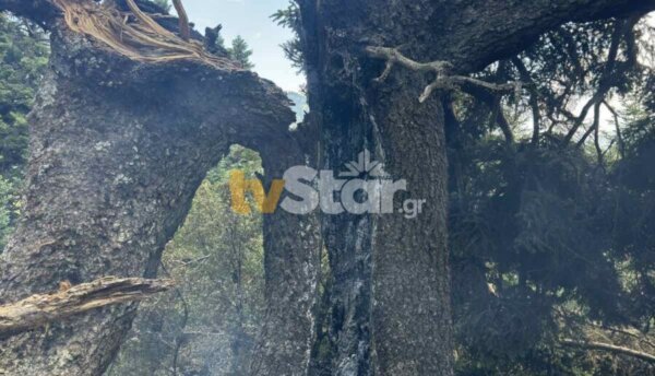 Φωκίδα: Φωτιά σε δύσβατη περιοχή από κεραυνό (φωτο)