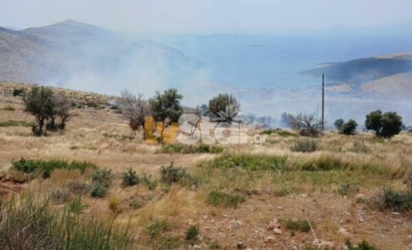 Σαράντι Βοιωτίας: Οριοθετήθηκε η φωτιά – Παραμένουν στο σημείο πυροσβεστικές δυνάμεις (φωτο & video)