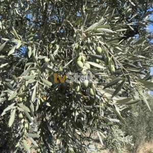 ΤΑ ΣΗΜΑΝΤΙΚΟΤΕΡΑ ΝΕΑ