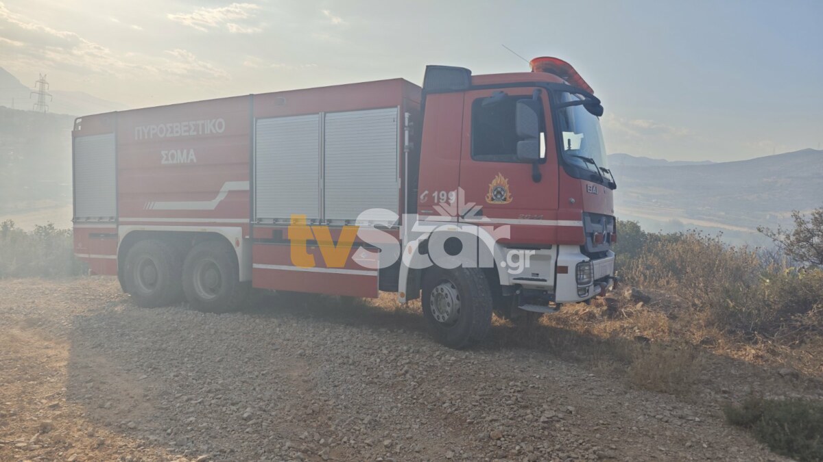 Λαμία: Τσουχτερό πρόστιμο για φωτιά σε ξηρά χόρτα