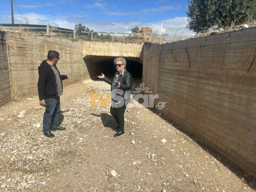 Βούλα Αμερικάνου και Κώστας Ζαχαριάς