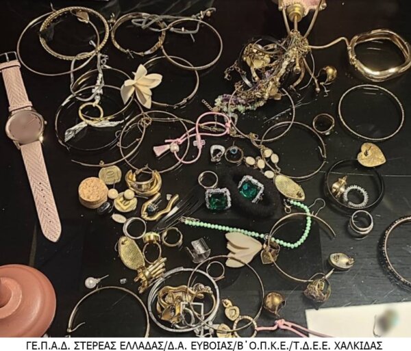 Χαλκίδα: Κινηματογραφική σύλληψη ληστών – Ο ένας εγκλωβίστηκε στο σπίτι και ο δεύτερος εντοπίστηκε μέσα σε τρένο