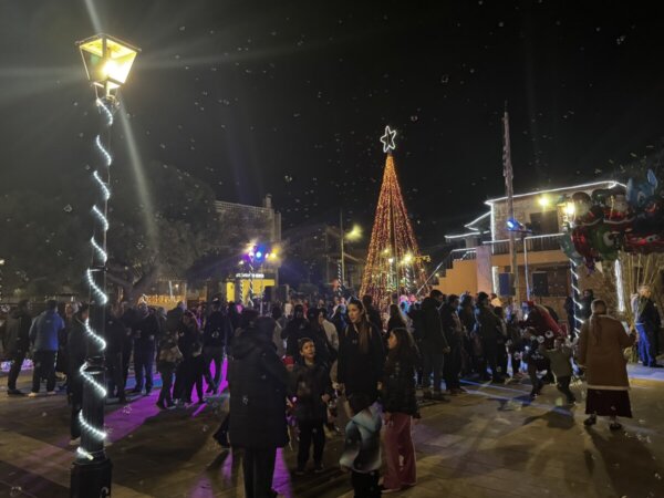 Άναψε το Χριστουγεννιάτικο δέντρο της Δ.Ε. Ανθηδόνας